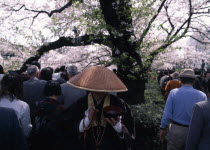 Chidorigafuchi Park. Buddhist Monk begging under a tree with crowds of people viewing Cherry BlossomsCherry Blossom known as Hanami
