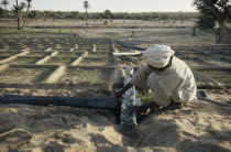 Man constructing irrigation channels for cultivated plots.