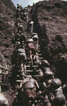 Workers carrying sacks of earth up a ladder at the biggest hand dug hole  known as the cava  digging for gold.  Brasil