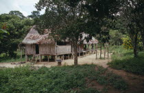 A rubber tapper s wooden and thatched house on stilts in a clearing in the forest. Brasil