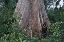 Rubber tapper Antonio Candido standing by a large tree in a forest saved by Chico Mendes. Brasil