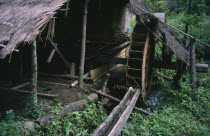 A farmer s house on stilts with a water wheel to dehusk rice Burma