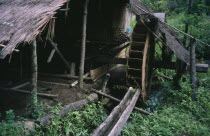 A farmer s house on stilts with a water wheel to dehusk rice Burma