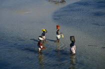 Elevated view over women wading in the sea carrying bowls and buckets on their heads.African Eastern Africa Mozambiquean Female Woman Girl Lady Female Women Girl Lady