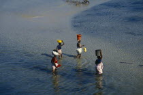 Elevated view over women wading in the sea carrying bowls and buckets on their heads.African Eastern Africa Mozambiquean Female Woman Girl Lady Female Women Girl Lady