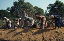 UNILO road refurbishment.  Line of female labourers.United Nations International Labour Organization African Eastern Africa Mozambiquean