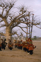 Dogon dancers wearing kanaga and iminana masks.