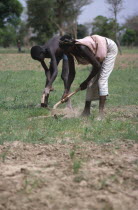 Man and woman hand tilling soil in field.