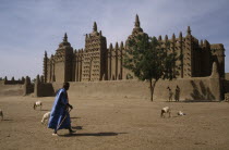 Grand Mosque with man walking past and sheep in the foreground. Moslem