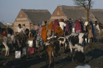 Eritrean refugees at well with cattle herd and pack donkey.