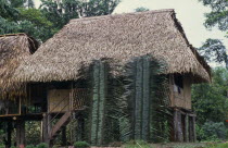 Amazonian Indians hut with roof thatched with leaves.