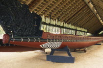Maori war canoe made from Kauri tree.