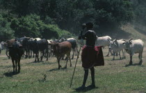 Samburu cattle herder.