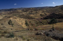 Terraced hillsides and country road between Asmara and Keren.