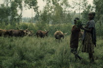 Hutu children and cattle herd.