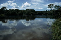 Landscape with river lined by tropical rainforest.