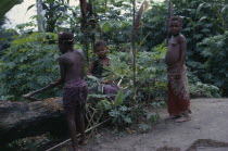 Pygmy group in forest clearing. Zaire