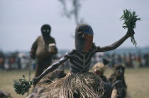 Bapende tribe masked dancer wearing grass skirt and body paint at Gungu Festival.  Zaire  Pende