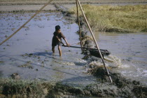 Young boy operating irrigation device in rice paddies.