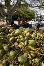 Men opening coconuts to sell the juice in bottles beside the road in Holetown
