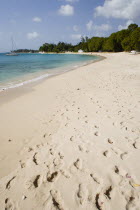 Gibbes Bay beach