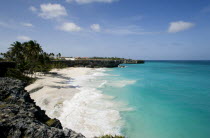 Coconut palm trees on the beach at Bottom Bay with man swimming in rough west coast sea