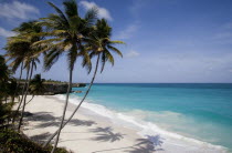 Coconut palm trees on the beach at Bottom Bay with man swimming in rough west coast sea