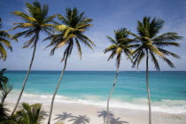 Coconut palm trees on the beach at Bottom Bay with man swimming in rough west coast sea