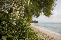 Gibbes Bay beach in the late afternoon