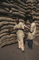 Men testing sacks of Cocoa for humidity.