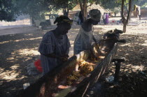 Women crushing cashew fruit to release juice used to make alcohol.