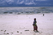 People collecting seaweed from expanse of white sand beach after a storm Unguja