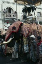 Esala Perahera festival parade with decorated elephant carrying replica of the golden relic casket containing Buddhas tooth.