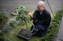 Zen Buddhist monk and bonsai tree