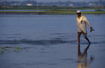 Farmer walking through flooded field. Dacca