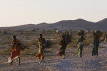 Line of five women carrying bundles of firewood in rural area.