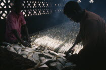 Smoking fish