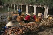 Women in conical hats washing carrots in the river below Xuan Huong dam