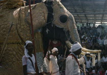 Perahera annual festival procession and the Great Elephant Parade