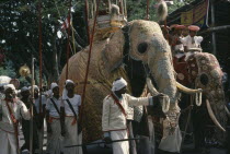 Perahera annual festival procession and the Great Elephant Parade