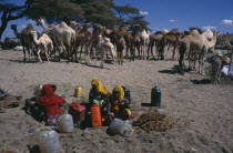 Camels at well and women with water containers.Caption by photographer appears to be two different places.