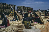 Women workers sorting maize.