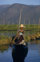 Woman rowing wooden canoe through floating gardens.Burma Myanmar