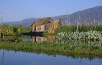 Thatched hut and floating garden.Burma Myanmar