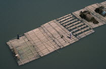 Log rafts on the Irrawaddy River.Burma Myanmar