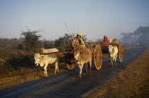 Ox and bullock drawn wooden carts on road leading to the  Inle Lake.Burma Myanmar