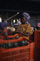 Women trimming and packing pineapples at a plantation