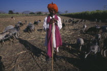 Shepherd and flock