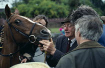 Puck Fair.  Man checking horses teeth or age.