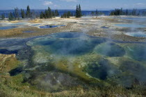Yellowstone National Park. Geysers at West Thumb.